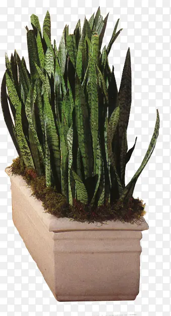 �ֻ����Դ�������-������