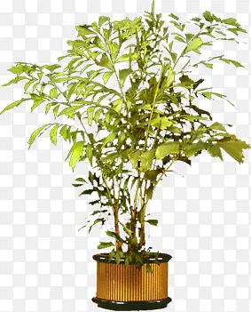 �ֻ����Դ��⺣��-������