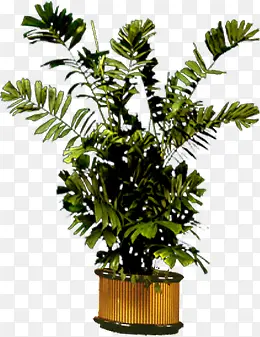 �ֻ����Դ���չ��-������