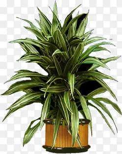 �ֻ����Դ���չ��-������