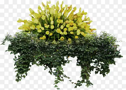 �ֻ����Դ���ͼƬ-������