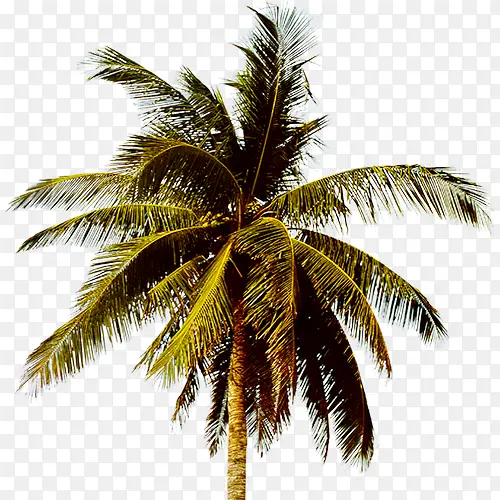 װ����-������