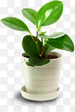 ������Ӱ����ݱ�ֲ������-������