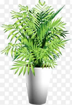 ��ɫֲ�����Ը��崴����Ӱ-������