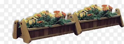 ������Ӱ��԰����-������