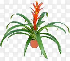 ������Ӱ��ɫ������ɫ����-������