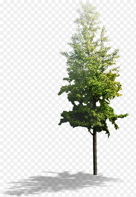 ���崴����Ӱ�ݱ�ֲ������-������