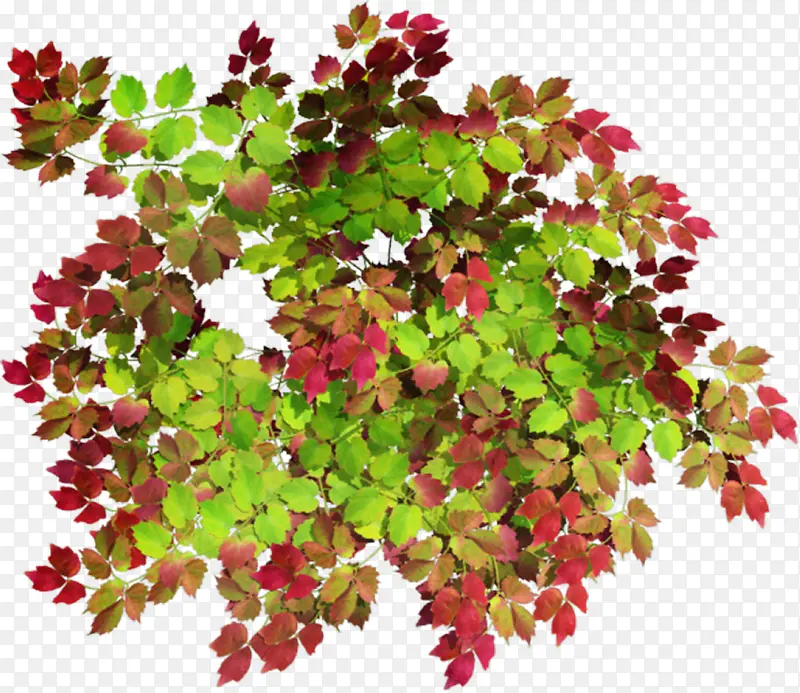 װ���زĻ���ͼ���ز�-������