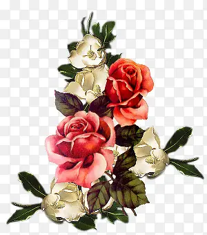 �ֻ滨���ز���ֲ����-������