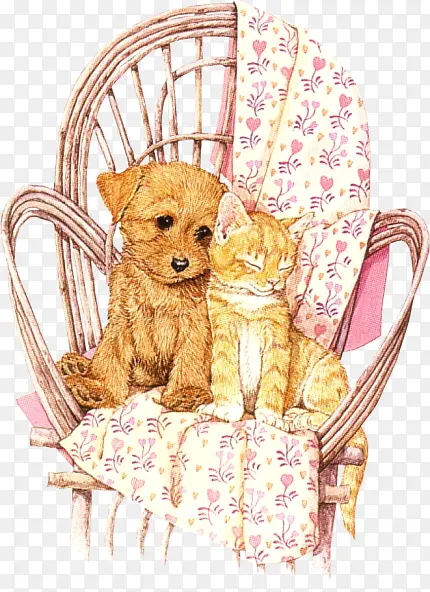 ��ֲ���ݻ����ز�-������