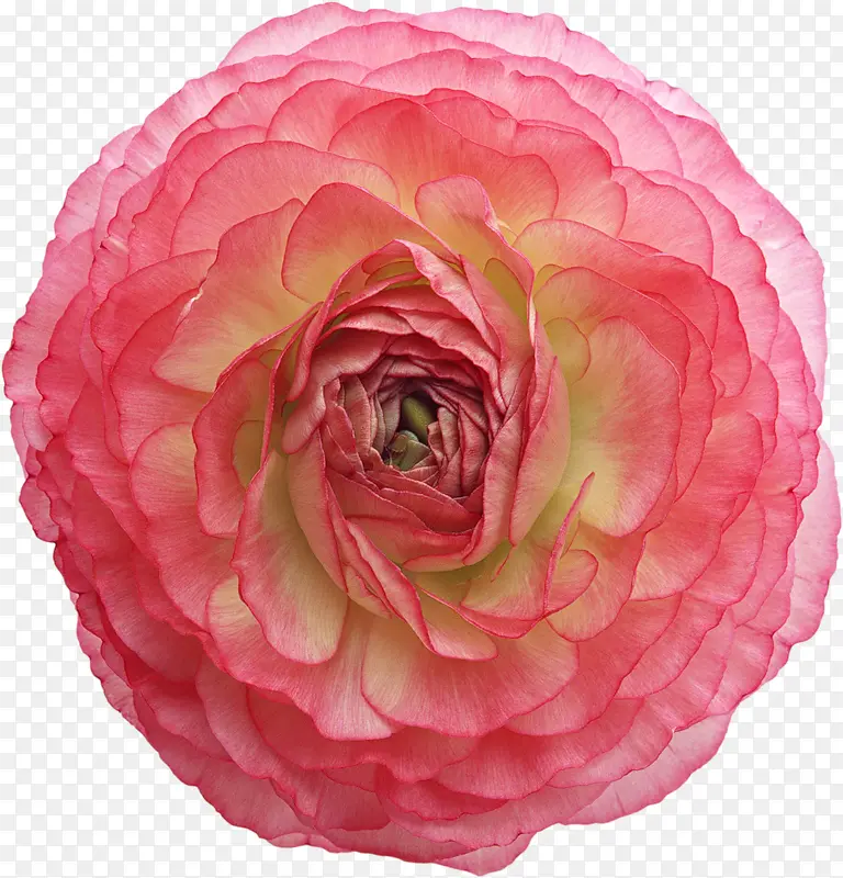 ����ʸ��ͼ�ز��ʻ�����-������