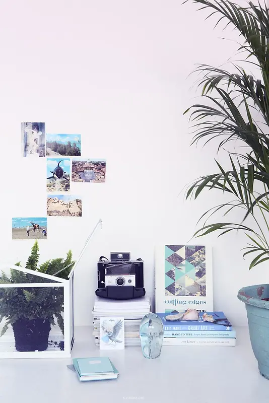 ������Ӱ��Ƭǽ����-������