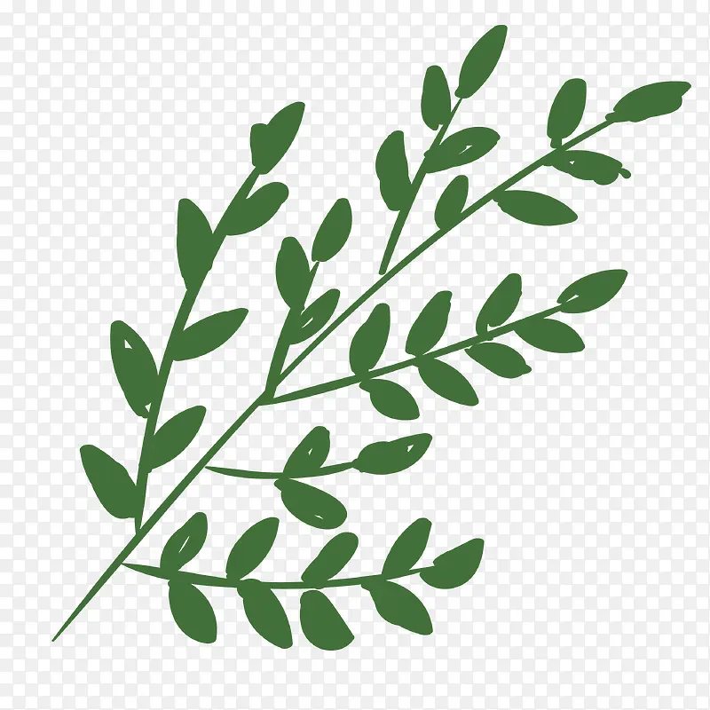 ��ɫ��֦-������