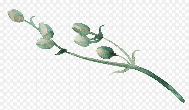 �ֻ���֦-������