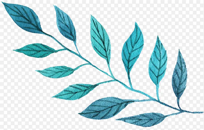 �ֻ�װ����ֲ��֦�ز�-������