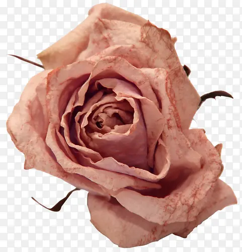 ps�����ز��ʻ�����-������