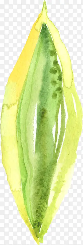 ��ֲ���ܴ��⻨��ͼƬ-������