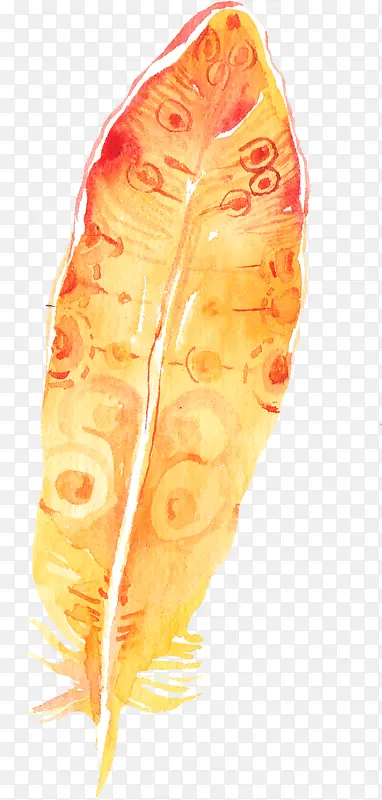 ��ֲ���ܻ���ʸ��ͼ�ز�-������