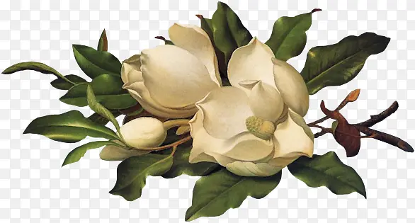 ����ʸ��ͼ�ز�ˮ�ʻ����ز�-������