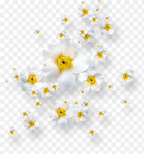 ����ʸ��ͼ�ز���ֲ����-������