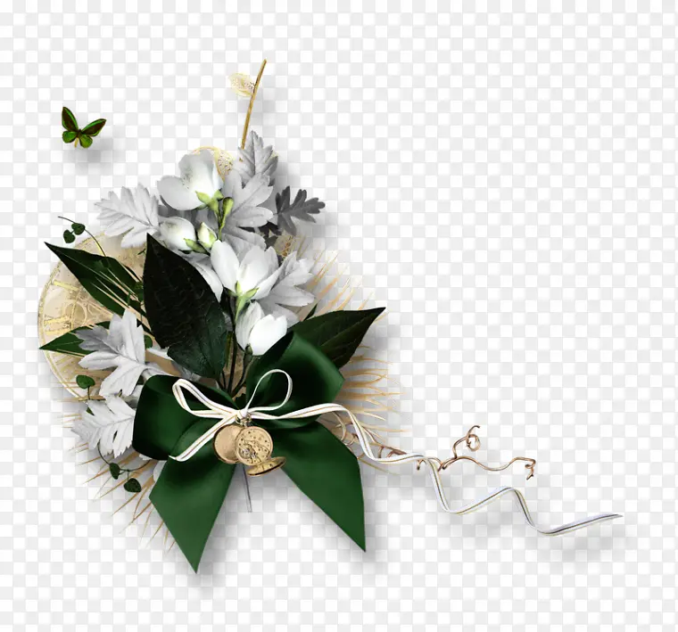 ��ֲ����ˮ�ʻ����ز�-������