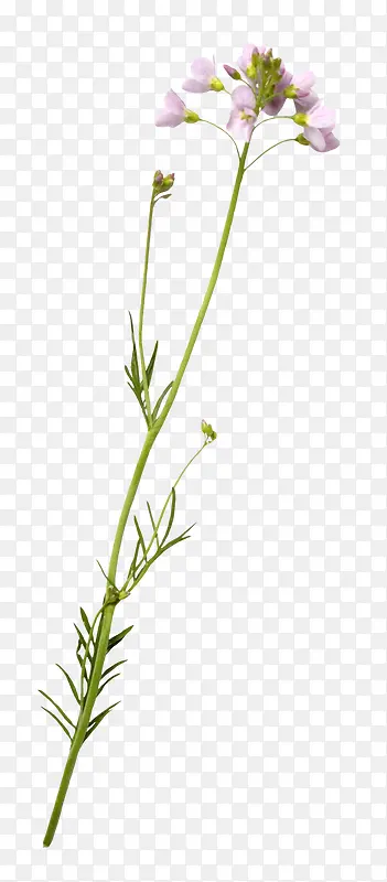 ˮ�ʻ���ps�����ز�-������