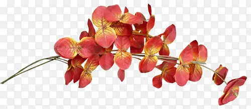 ʸ�������زĻ���ͼ��-������