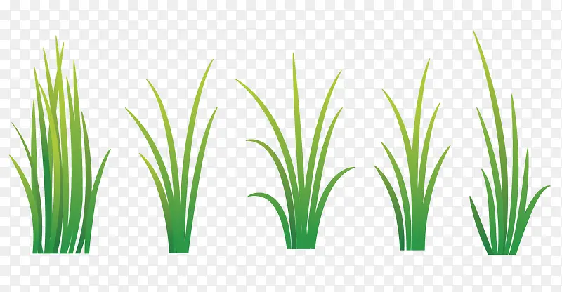 ��ɫ���ز�-������