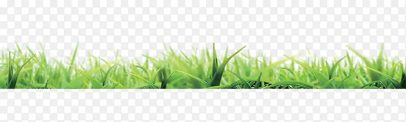 ��ɫС��-������