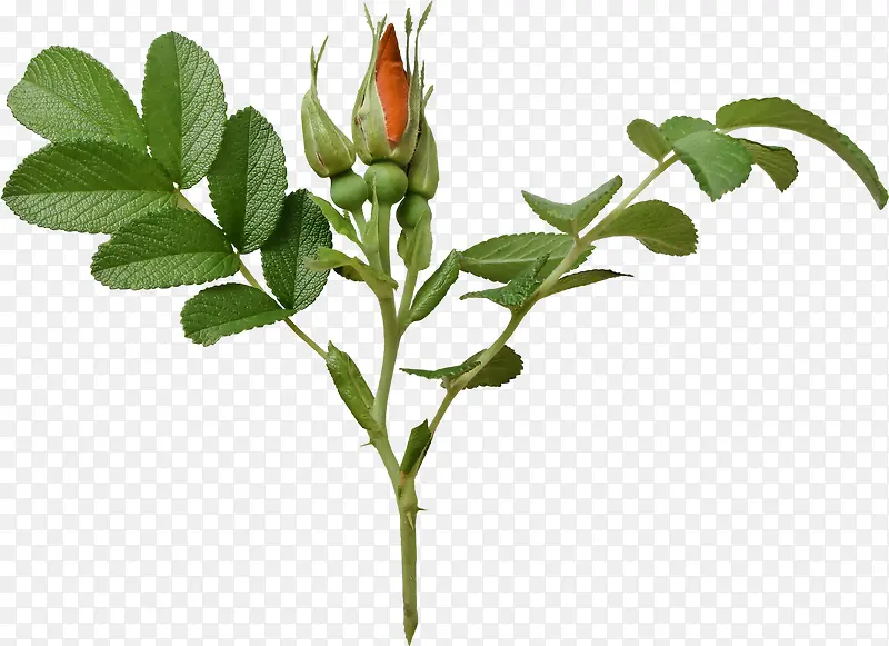 ��-������