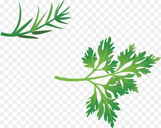 �̲�-������