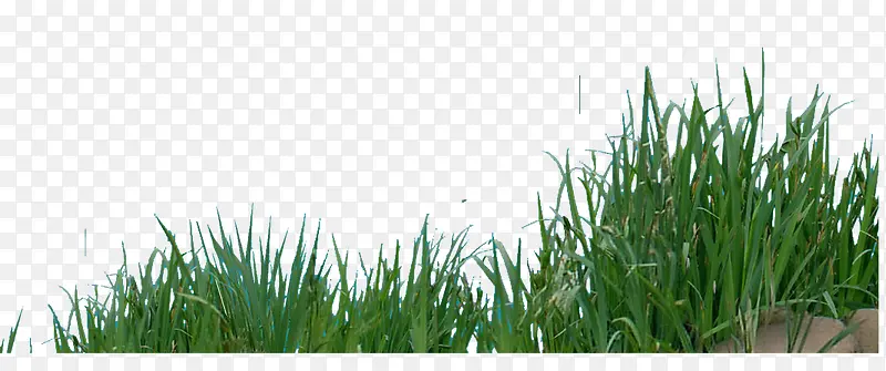 ֲ���-������