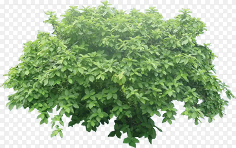 ��ɫ���ز�-������