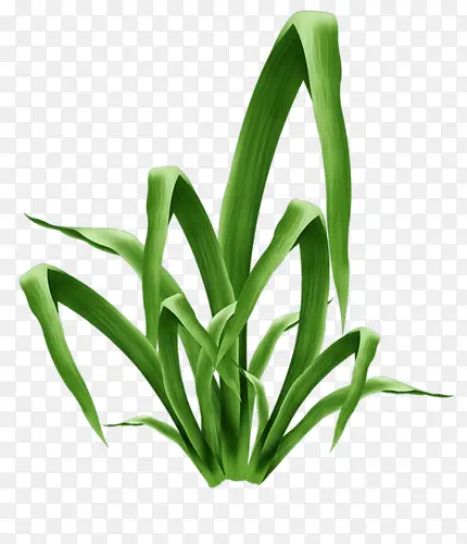 ��ɫС��-������