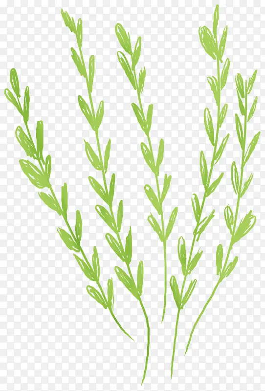 ˮ��С��-������