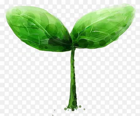 ��ɫС��-������