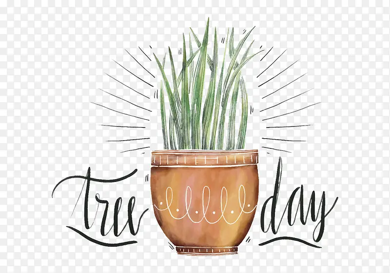 �ֻ�ֲ��-������