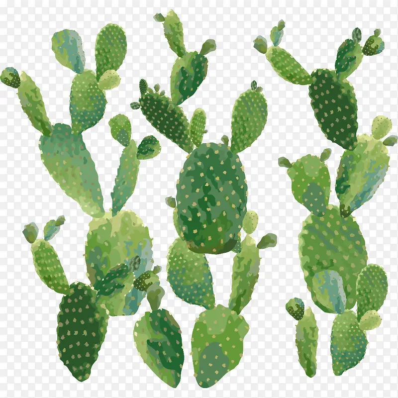 ��ɫ������-������