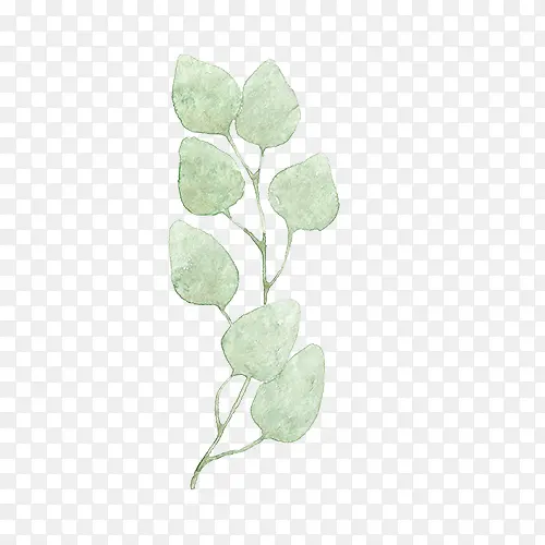 ˮ��Ҷ��-������