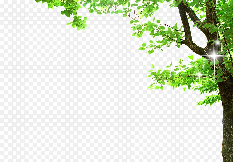 ��ɫֲ�����-������