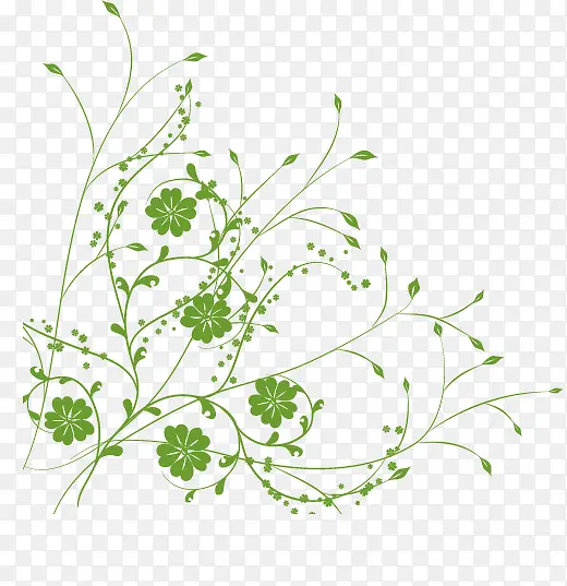 �ֻ�ֲ��-������