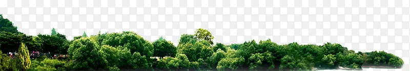 ����-������