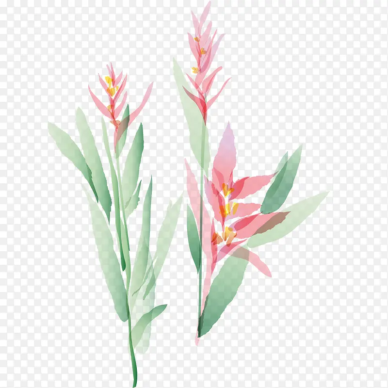 ˮ��ֲ��-������