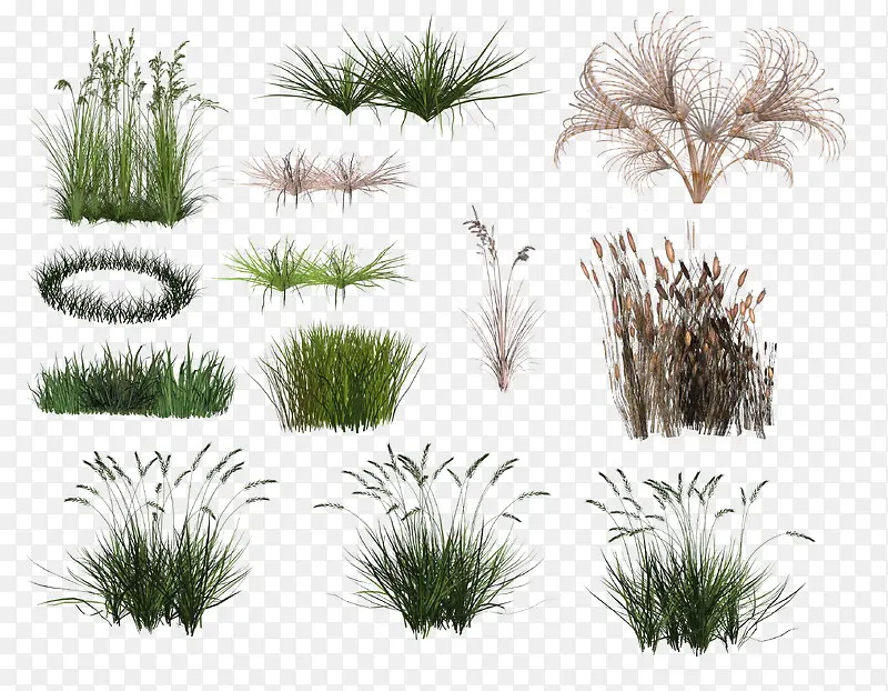 С����ͼ-������