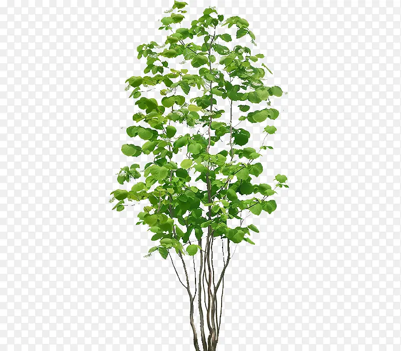 ��-������