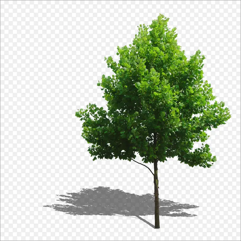 С��-������