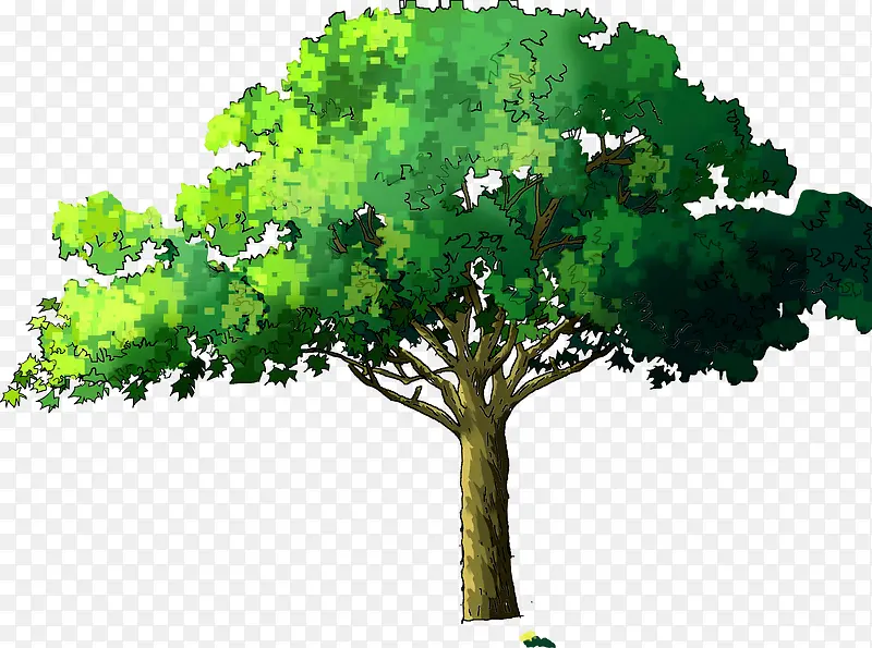 ��ɫ����-������