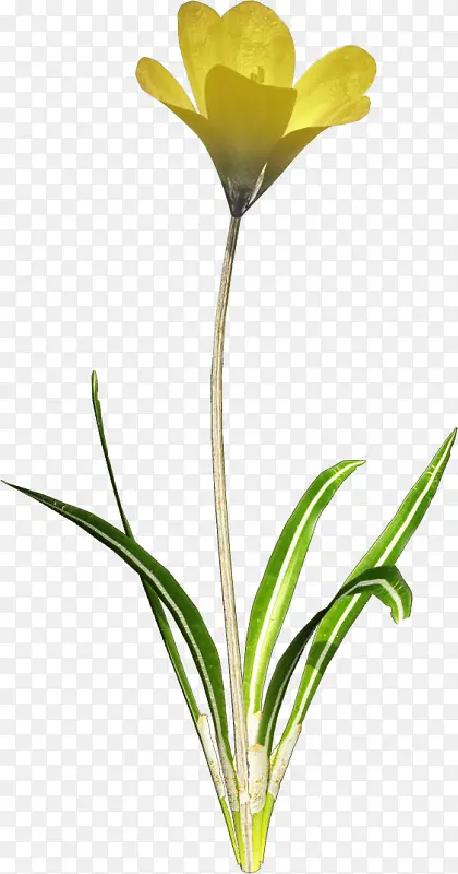 ��ͨװ���ز��ֻ滨���ز�-������