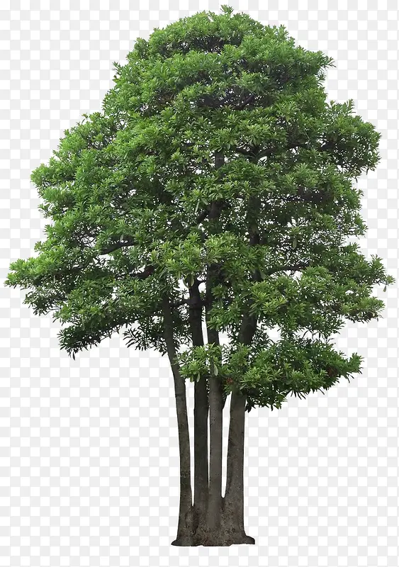 ��-������