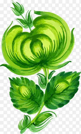 �ֻ�ֲ��-������